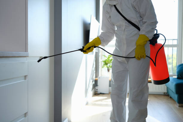 Trusted Sloan, NY Mold Removal Experts