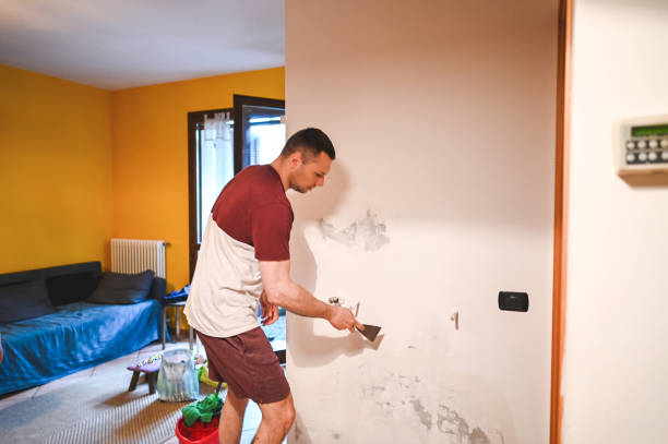 Best Toxic Mold Removal  in Sloan, NY